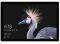 TABLET MICROSOFT SURFACE PRO 2017 12.3'' INTE...