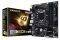  GIGABYTE GA-B250M-DS3H RETAIL
