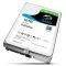 HDD SEAGATE ST10000VX0004 SKYHAWK SURVEILLANC...