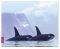 SPEEDLINK SL-6242-ORCA SILK ORCA MOUSEPAD