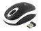 ESPERANZA TM116W TITANUM WIRELESS OPTICAL MOUSE 2.4GHZ 3D USB VULTURE WHITE