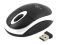 ESPERANZA TM116W TITANUM WIRELESS OPTICAL MOU...