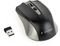 GEMBIRD MUSW-4B-04-GB WIRELESS OPTICAL MOUSE ...