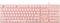 WHITE SHARK LED KEYBOARD GK-003441 TACHI US L...