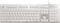 WHITE SHARK LED KEYBOARD GK-003241 TACHI US L...