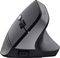 TRUST BAYO II ERGONOMIC WIRELESS MOUSE BLACK