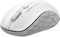 ALCATROZ DUO BT5.0 & WIRELESS 2.4G SILENT MOU...
