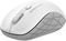 ALCATROZ DUO BT5.0 & WIRELESS 2.4G SILENT MOU...