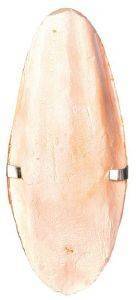 ������ �������  TRIXIE ������ �� ����