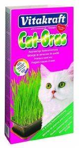 VITAKRAFT ΓΡΑΣΙΔΙ VITAKRAFT CAT GRASS 120GR