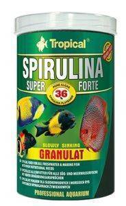 ΤΡΟΦΗ ΨΑΡΙΩΝ TROPICAL SUPER SPIRULINA FORTE GRANULAT 3KG ΤΡΟΦΗ ΨΑΡΙΩΝ TROPICAL SUPER SPIRULINA FORTE GRANULAT 3KG