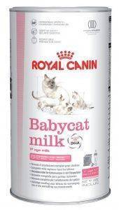 ΓΑΛΑ ΣΕ ΣΚΟΝΗ ROYAL CANIN BABYCAT MILK 300GR ΓΑΛΑ ΣΕ ΣΚΟΝΗ ROYAL CANIN BABYCAT MILK 300GR