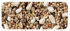 ����� ��� �������� ���������� DELI NATURE CHAMPION 20KG)