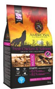 ����� ������ AMBROSIA GRAIN FREE PUPPY LARGE ��������� & ������� 12KG+2KG ����
