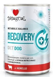   DISUGUAL METABOLIC BALANCE RECOVERY   400GR
