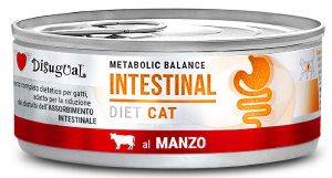   DISUGUAL METABOLIC BALANCE INTESTINAL   85GR