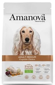   AMANOVA ADULT MEDIUM EXQUISITE  12KG