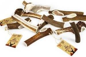 SNAK CELEBRATE FRESHNESSRED DEER SPLIT ANTLER M (80-120GR)