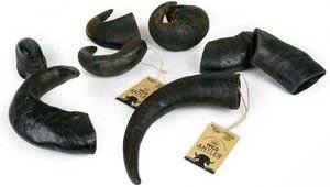 SNAK CELEBRATE FRESHNESS BUFFALO M (251-400GR)