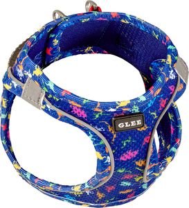 ΣΑΜΑΡΑΚΙ GLEE DINO BLUE (3XS) ΣΑΜΑΡΑΚΙ GLEE DINO BLUE (3XS)