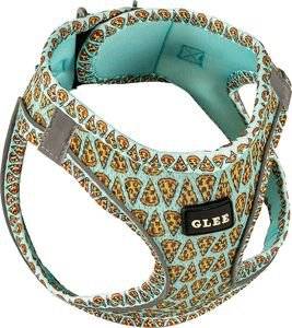 �������� GLEE PIZZA AQUA (2XS)