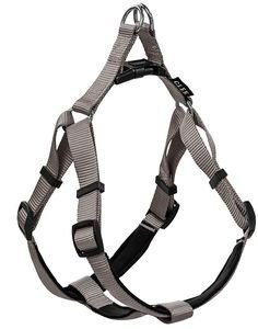 ΣΑΜΑΡΑΚΙ GLEE NEOPRENE GREY L (25MMX71-81CM) ΣΑΜΑΡΑΚΙ GLEE NEOPRENE GREY L (25MMX71-81CM)