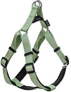 �������� GLEE NEOPRENE TEAL S (16MMX41-51CM)