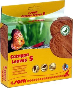   SERA CATAPPA LEAVES