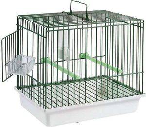 ������ ��������� STA GABBIA TRASPORTO CINCIA �������