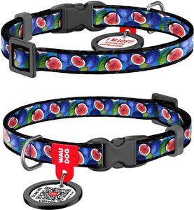 ΠΕΡΙΛΑΙΜΙΟ WAUDOG FIG PLASTIC FASTEX XS (10MM / 20-30CM) ΠΕΡΙΛΑΙΜΙΟ WAUDOG FIG PLASTIC FASTEX XS (10MM / 20-30CM)