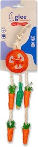 �������� ��������� GLEE HANGING TREAT WHEEL (25CM)