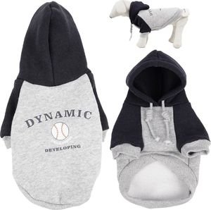 ������ GLEE DYNAMIC ���� ����� (30CM)