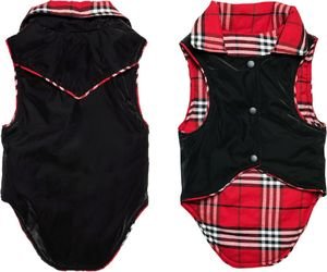 ������ GLEE DAISY ����� (S)