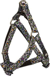 �������� GLEE PLATINUM ����� A INDY LEO (XSMALL 41-51CM)