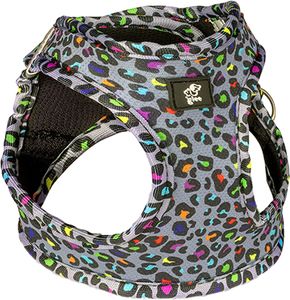 �������� GLEE PLATINUM ����� STEP IN INDY LEO (SMALL 32-36CM)