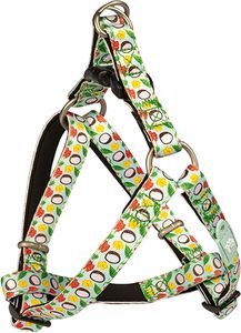 �������� GLEE PLATINUM ����� � AQUA BATIDA (XSMALL 41-51CM)