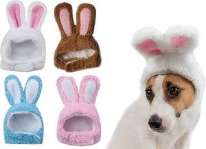 ����������� ������ ����� VALUE IMPORTS ������ ������� ��������