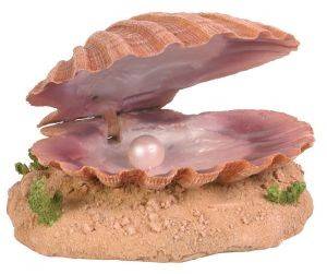 ΑΞΕΣΟΥΑΡ ΔΙΑΚΟΣΜΗΤΙΚΟ ΕΝΥΔΡΕΙΟΥ ΚΟΧΥΛΙ 15CM ΑΞΕΣΟΥΑΡ ΔΙΑΚΟΣΜΗΤΙΚΟ ΕΝΥΔΡΕΙΟΥ ΚΟΧΥΛΙ 15CM