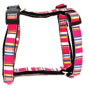 ΕΞΟΠΛΙΣΜΟΣ ΟΛΟΣΩΜΟ ΛΟΥΡΑΚΙ ΣΚΥΛΟΥ ΡΟΖ ΡΙΓΕ ΕΞΟΠΛΙΣΜΟΣ ΟΛΟΣΩΜΟ ΛΟΥΡΑΚΙ ΣΚΥΛΟΥ ΡΟΖ ΡΙΓΕ