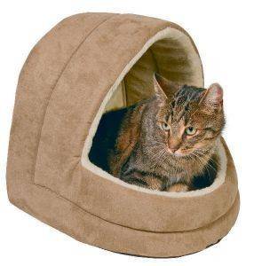 ����� TRIXIE FELICIA ���� ����