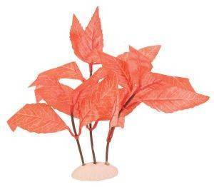 �������� ������������ ���� ��������� ������ �������