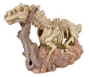 ΔΙΑΚΟΣΜΗΤΙΚΟ ΕΝΥΔΡΕΙΟΥ ΣΚΕΛΕΤΟΣ ΔΕΙΝΟΣΑΥΡΟΥ ΔΙΑΚΟΣΜΗΤΙΚΟ ΕΝΥΔΡΕΙΟΥ ΣΚΕΛΕΤΟΣ ΔΕΙΝΟΣΑΥΡΟΥ