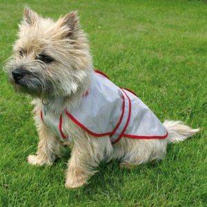 ΕΞΟΠΛΙΣΜΟΣ ΑΔΙΑΒΡΟΧΟ ΠΑΛΤΟ ΣΚΥΛΟΥ 34 CM ΕΞΟΠΛΙΣΜΟΣ ΑΔΙΑΒΡΟΧΟ ΠΑΛΤΟ ΣΚΥΛΟΥ 34 CM