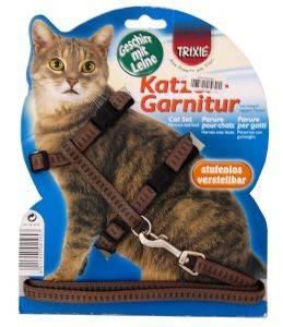 ���������� ��� �������� ��� ������ ��� ���E� ����