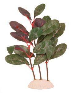 �������� ������������ ���� ��������� ������