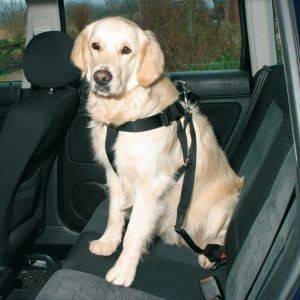 ���� ��������� TRIXIE MEDIUM ���� ������