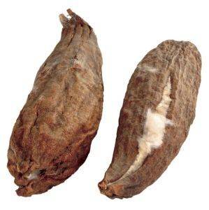 ΣΠΟΡΟΙ ΒΑΜΒΑΚΙΟΥ TRIXIE ΓΙΑ ΦΩΛΙΑ  (2ΤΜΧ) ΣΠΟΡΟΙ ΒΑΜΒΑΚΙΟΥ TRIXIE ΓΙΑ ΦΩΛΙΑ  (2ΤΜΧ)