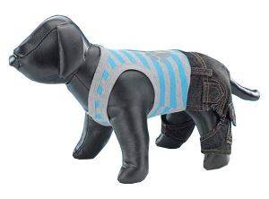 NOBBY T-SHIRT KAI ΠΑΝΤΕΛOΝΙ TRENDY DOG ΜΠΛΕ 35 CM NOBBY T-SHIRT KAI ΠΑΝΤΕΛOΝΙ TRENDY DOG ΜΠΛΕ 35 CM