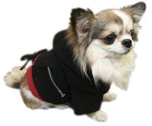 PETSLAND ZAKETA FLEECE ΜΕ ΚΟΥΚΟΥΛΑ ΜΑΥΡΟ SMALL PETSLAND ZAKETA FLEECE ΜΕ ΚΟΥΚΟΥΛΑ ΜΑΥΡΟ SMALL