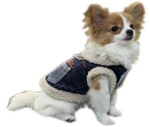 ������ JEAN �� ������� ����� MEDIUM